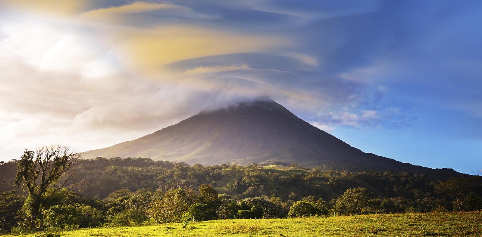 Rainforest scenery